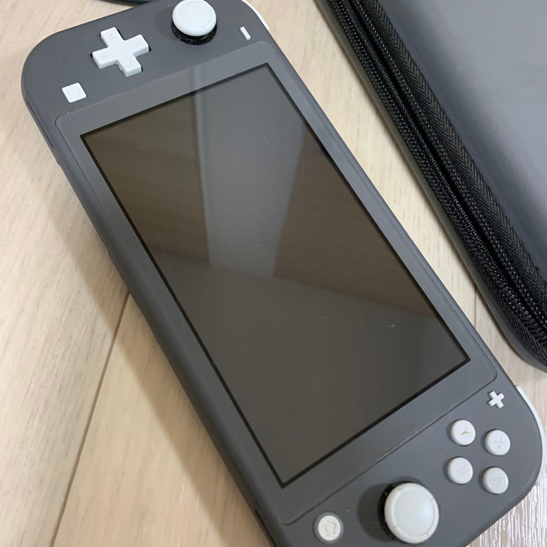 nintendo switch lite本体 充電アダプター 専用ケース付き