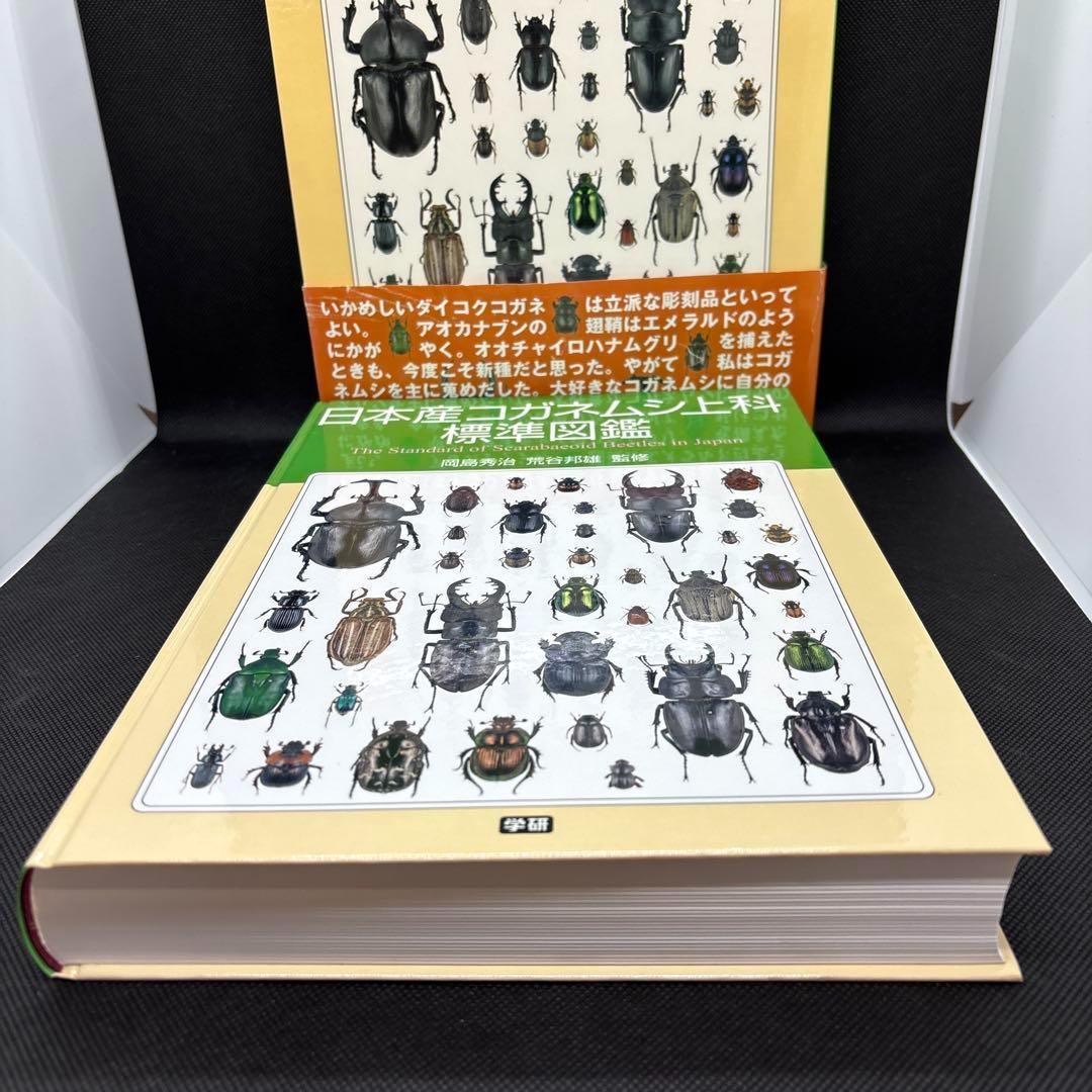 日本産コガネムシ上科標準図鑑 箱付き