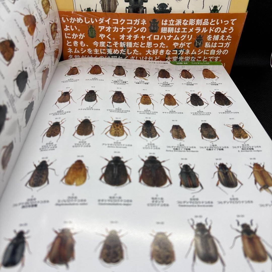 日本産コガネムシ上科標準図鑑 箱付き