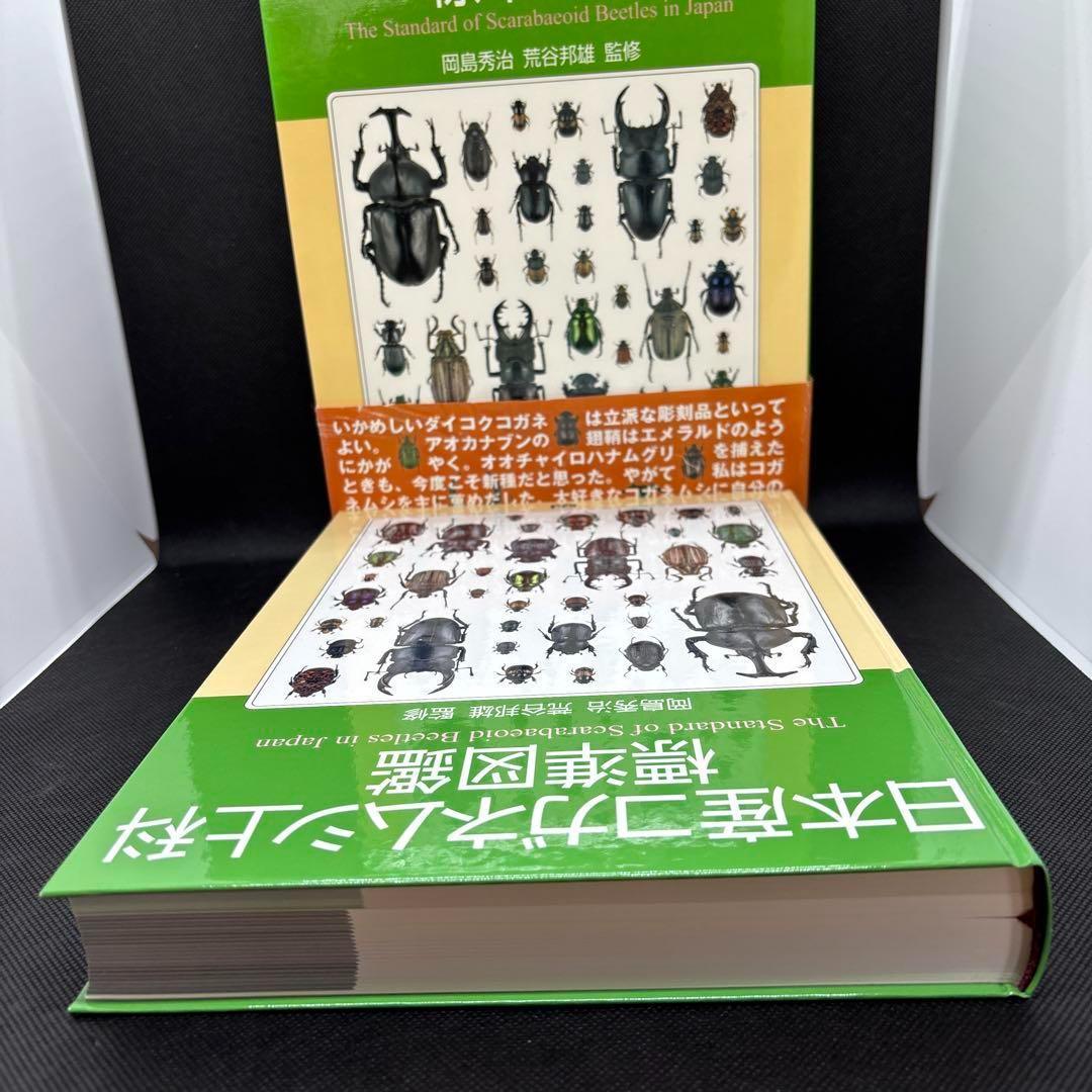 日本産コガネムシ上科標準図鑑 箱付き