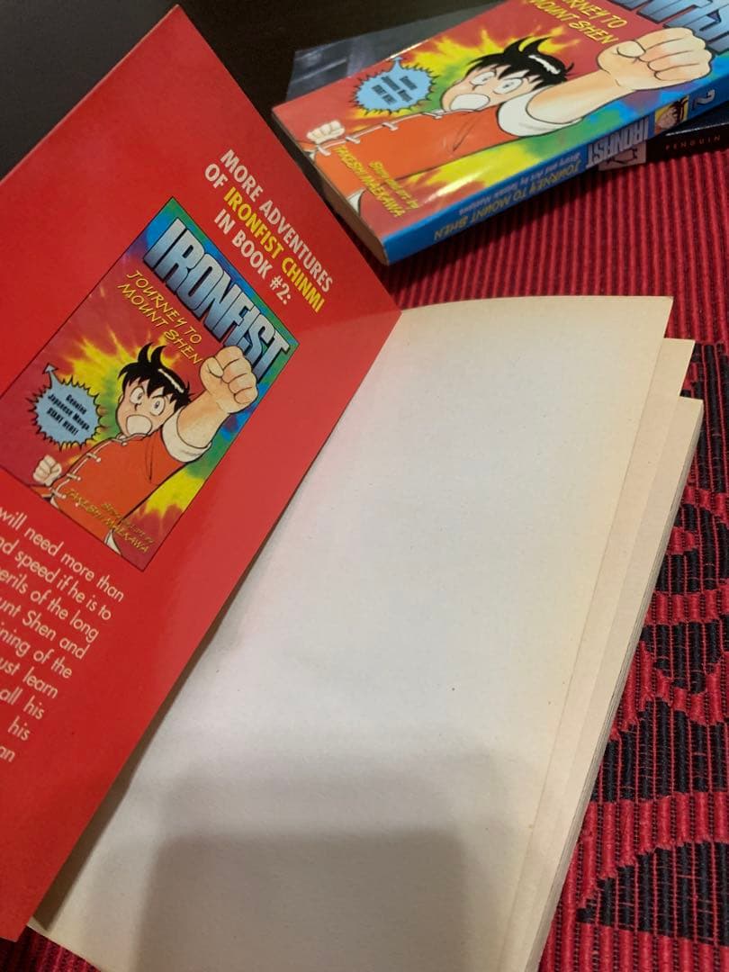 希少　IRONFIST KUNG FU BOY