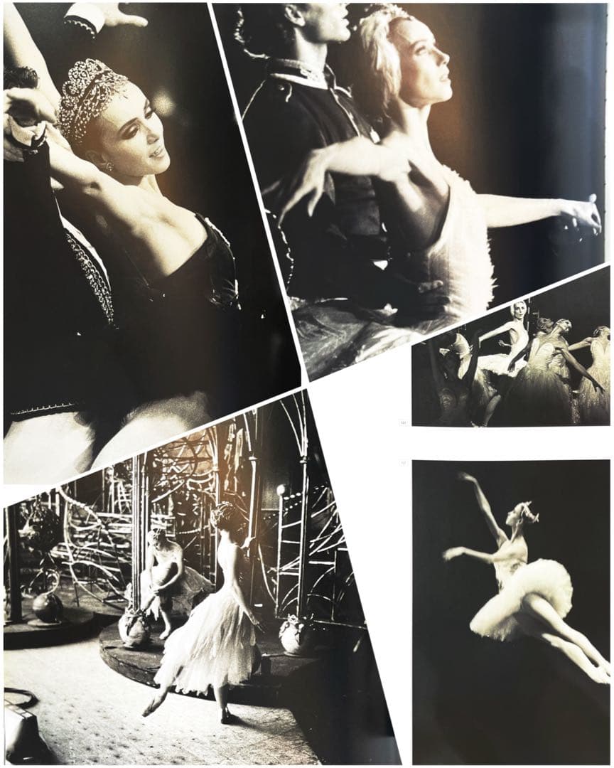 【写真集】INVITATION　SYLVIE GUILLEM（シルヴィギエム）