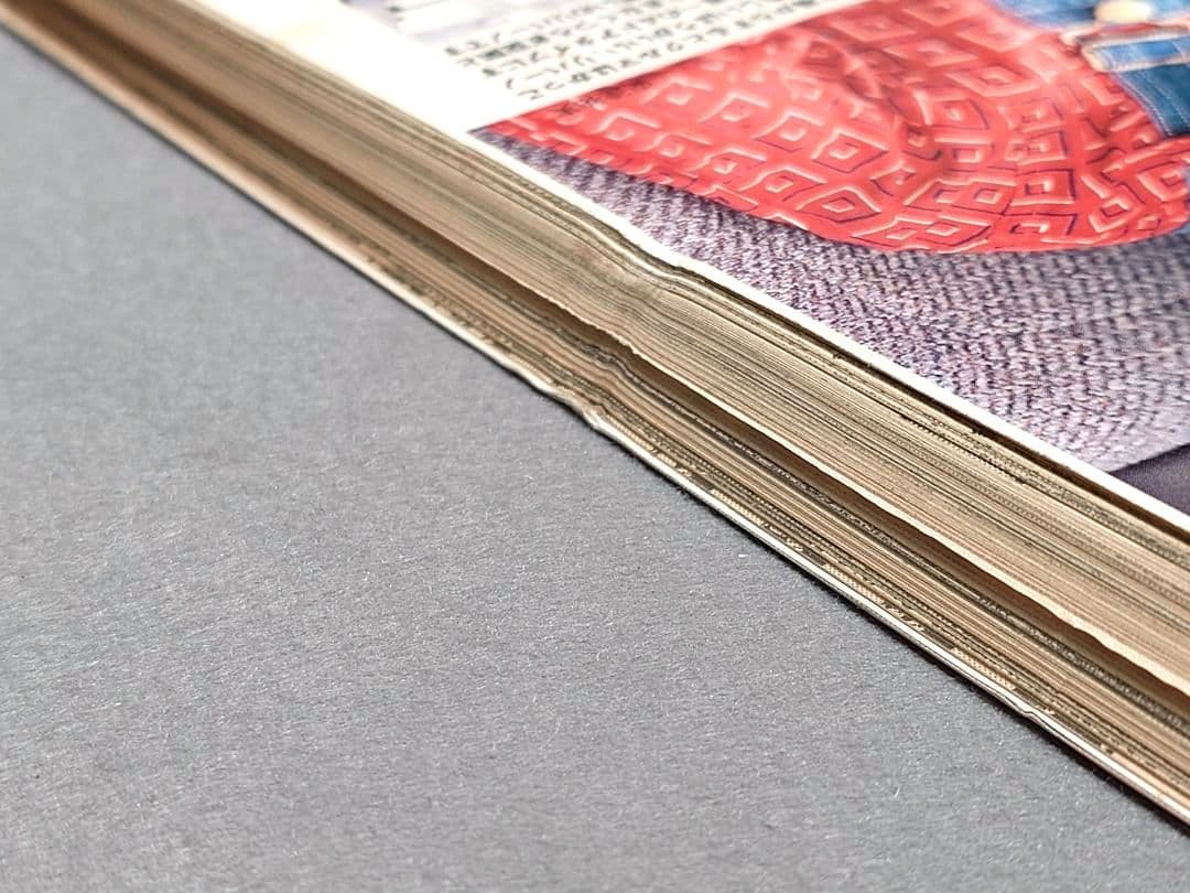 週刊ヤングマガジン1994年17号『1・2の三四郎2』新連載表紙&巻頭カラー