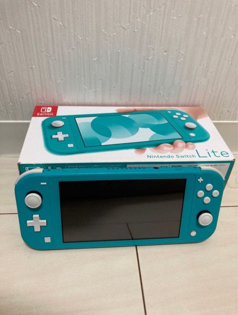 【箱、充電器、ケース付き】Nintendo Switch Light 本体