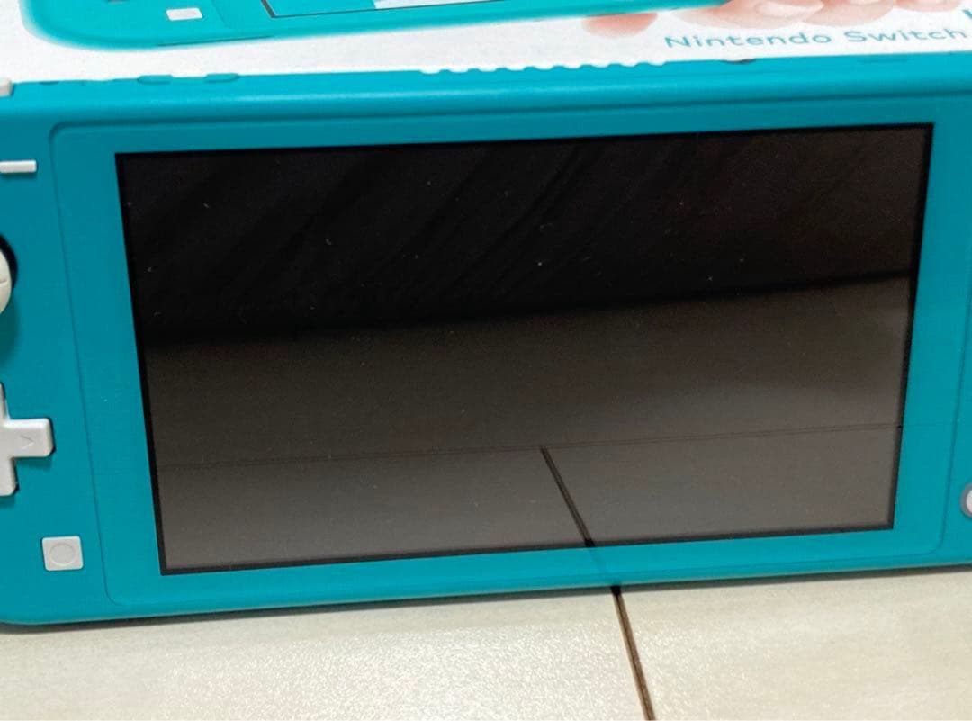 【箱、充電器、ケース付き】Nintendo Switch Light 本体