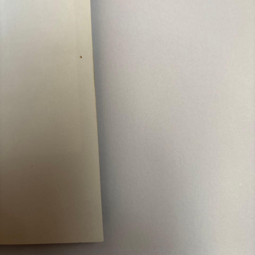 洋書 16 Photographers Portraits Purple Books