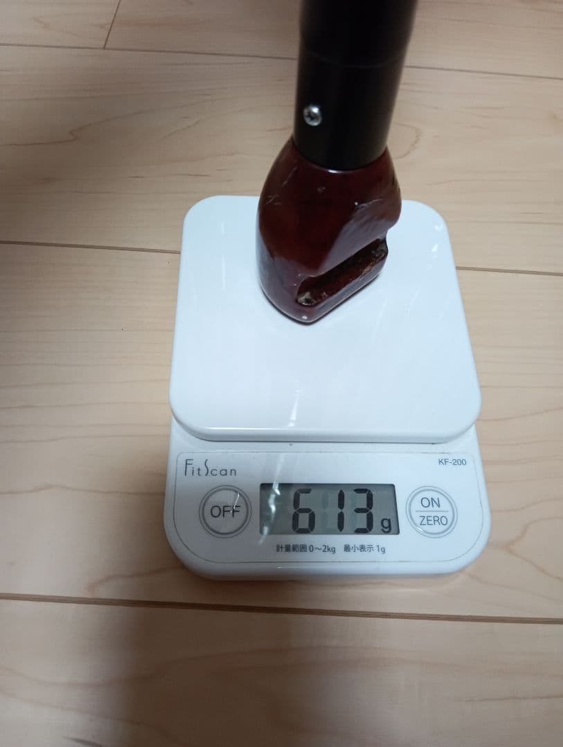 オリムピック　テクスター　石鯛　バルタム　510S 石鯛　鯉　底物