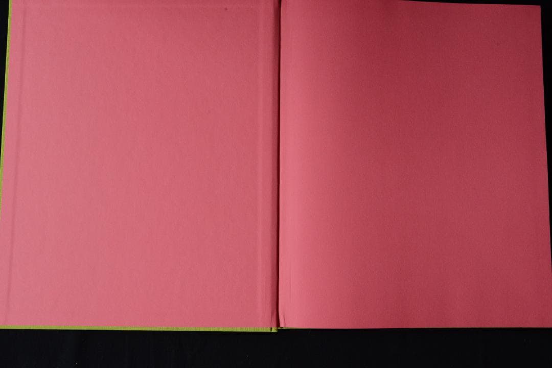 【Stems】リー・フリードランダー写真集 2003年 直筆サイン入 新品未読品