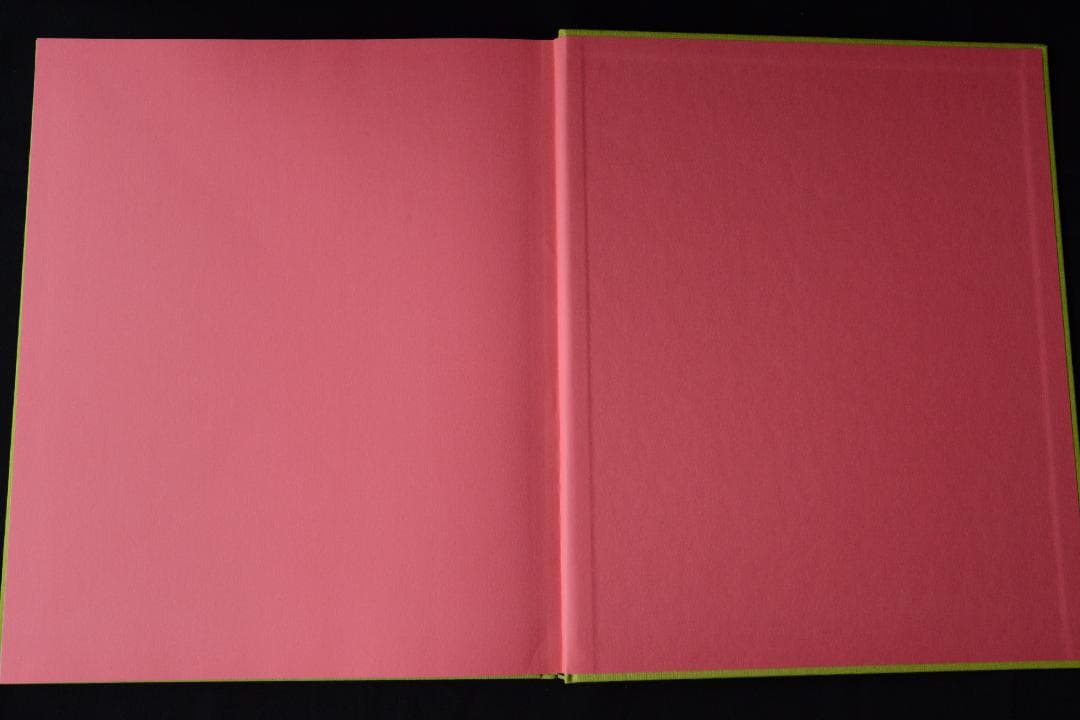 【Stems】リー・フリードランダー写真集 2003年 直筆サイン入 新品未読品