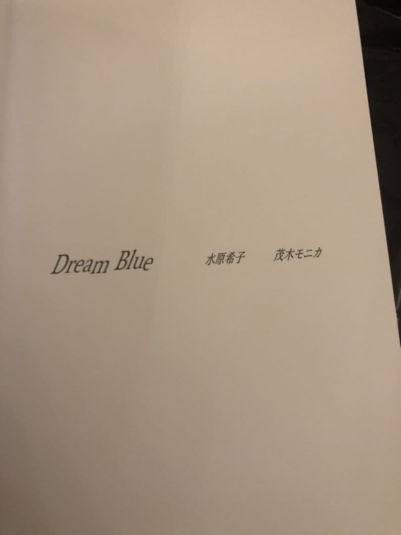 ラスト！【激レア！】水原希子直筆サイン　写真集　夢の続き