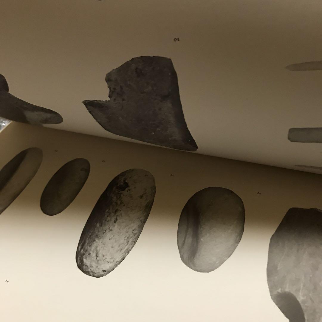 ティラウラ　コット　　図版編