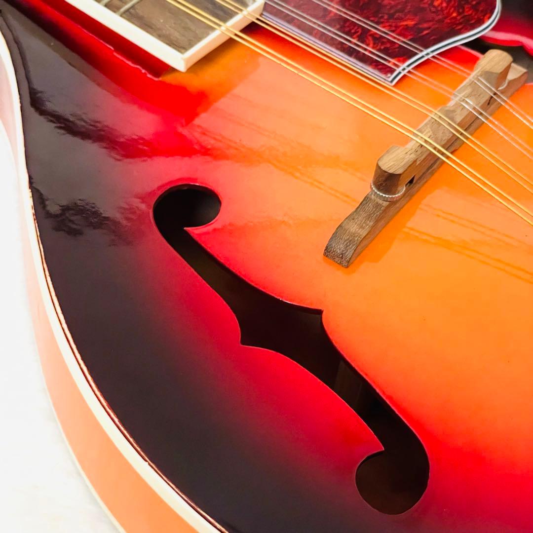 【激安】 マンドリン 8 弦 F ホール マンドリン バスウッド キ