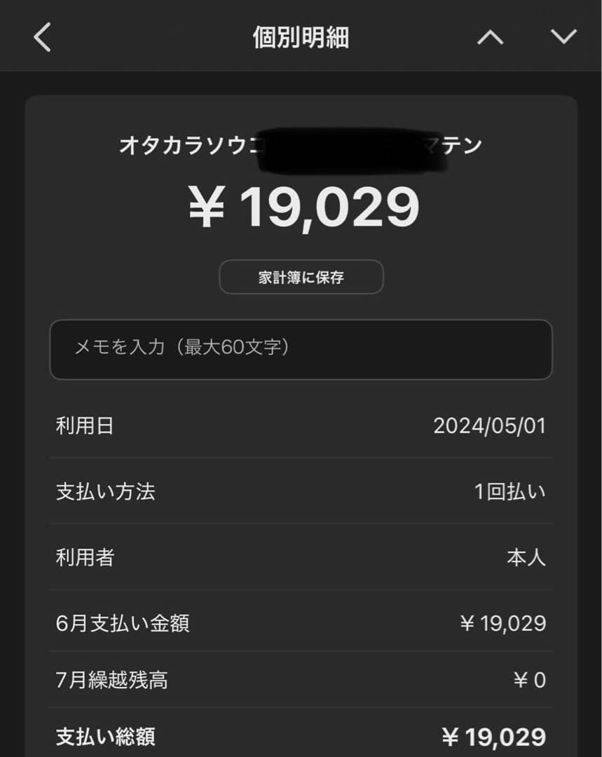 【極美品使用時間10時間以内】ニンテンドーswitchライト