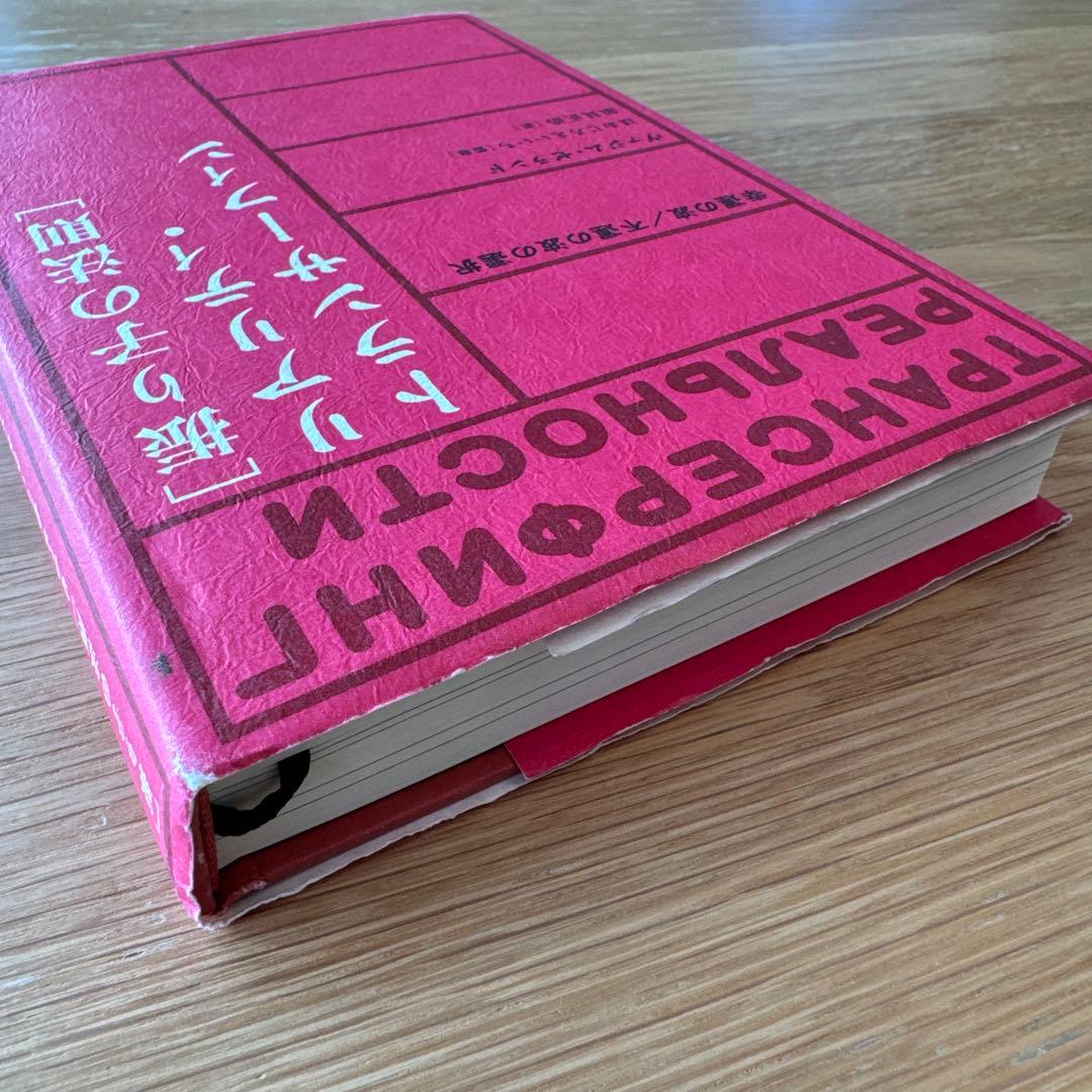 振り子の法則 リアリティ・トランサーフィン