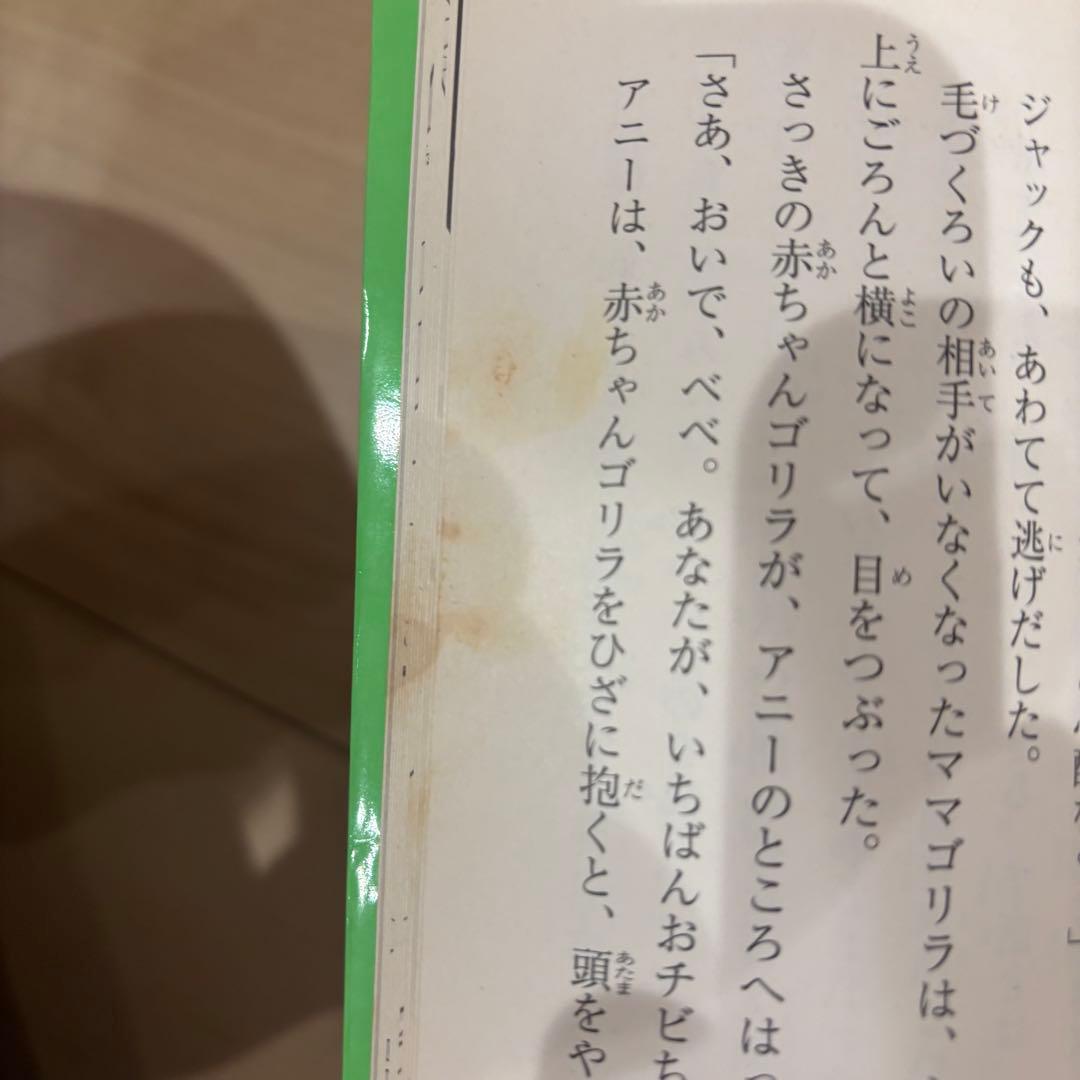 マジックツリーハウス　1〜45巻セット　※バラ売り不可　キッズ向け