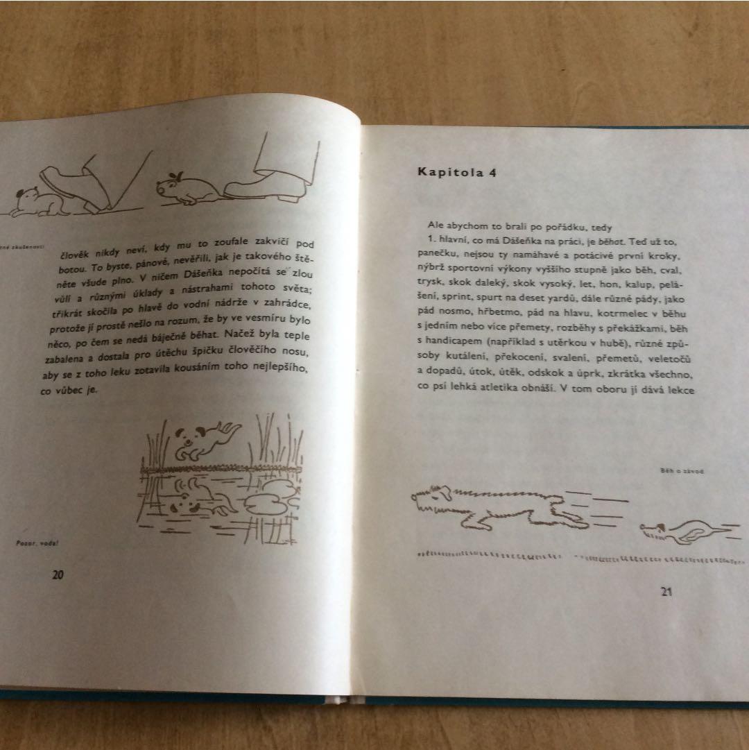 稀少本 チェコ カレルチャペック DASENKA ダーシェンカ