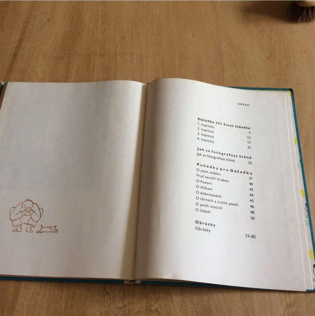 稀少本 チェコ カレルチャペック DASENKA ダーシェンカ