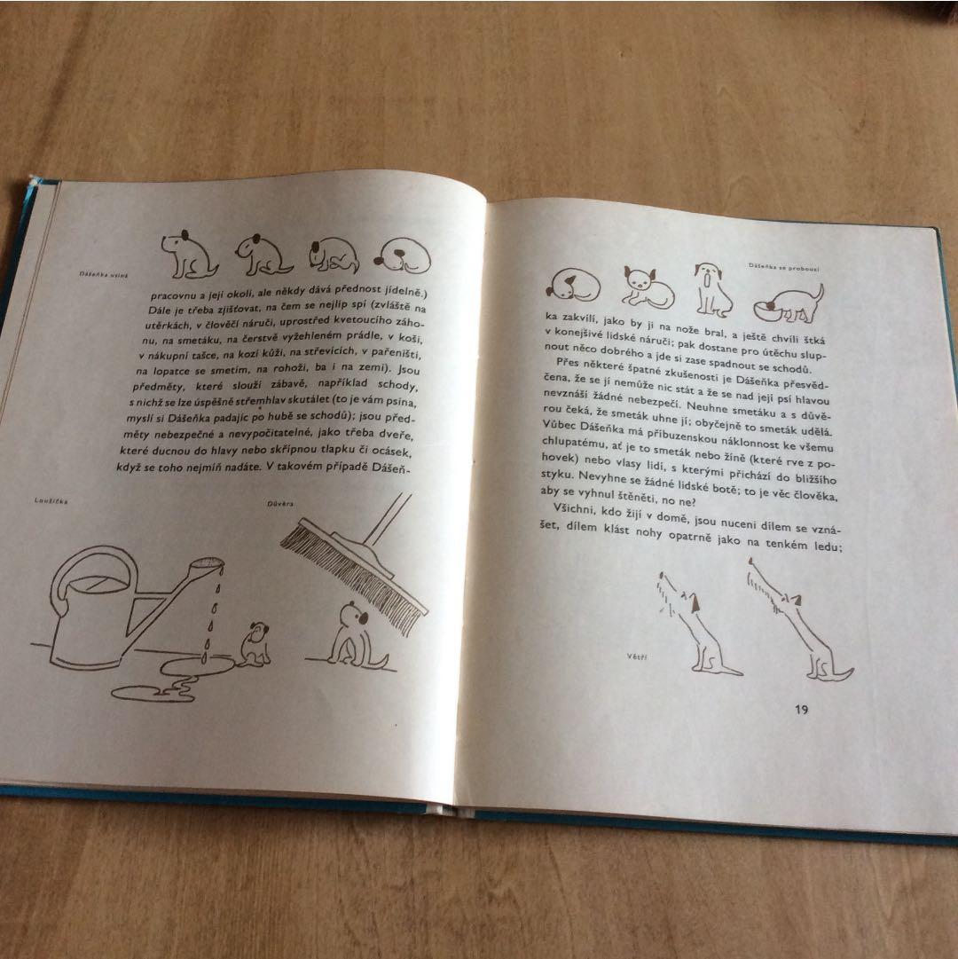 稀少本 チェコ カレルチャペック DASENKA ダーシェンカ