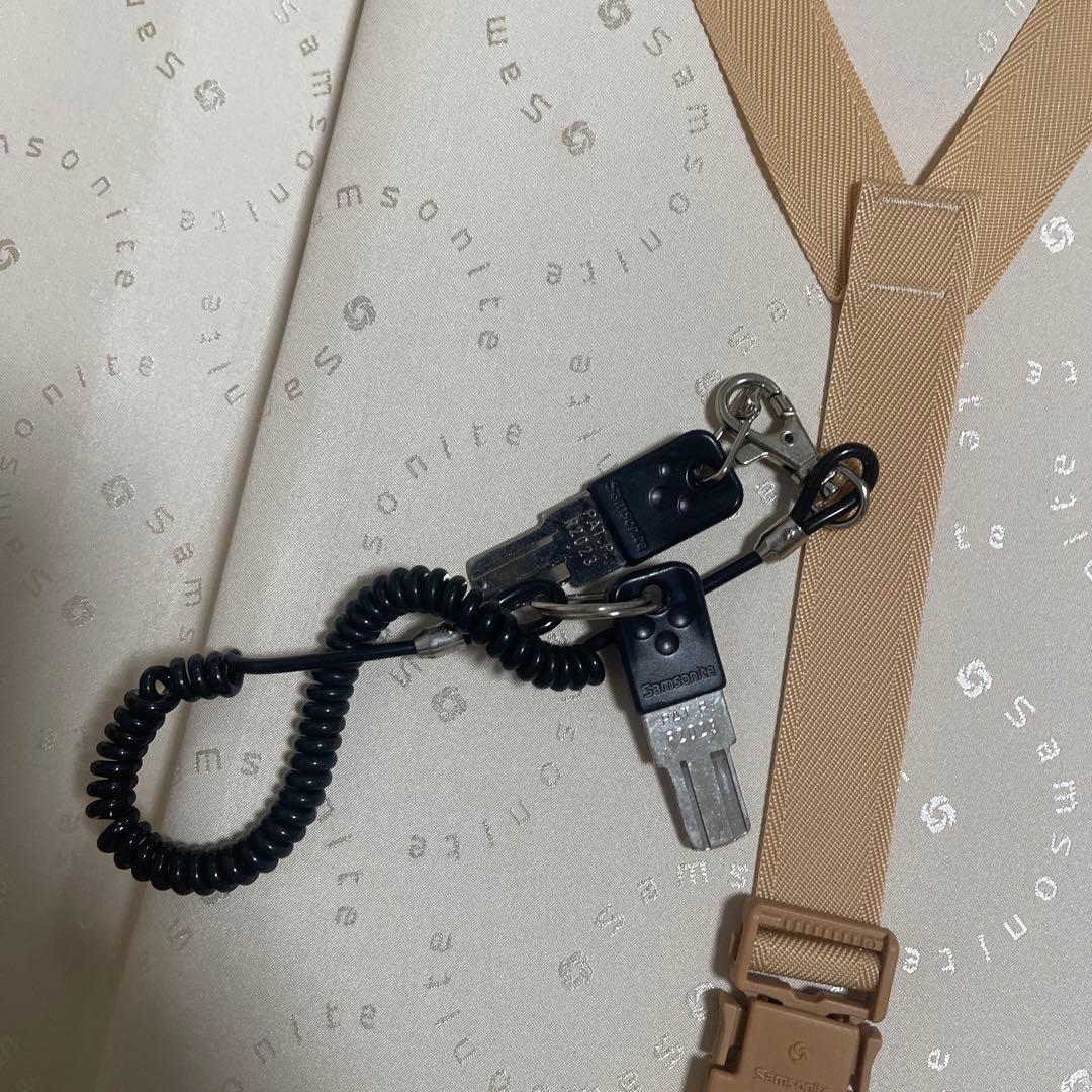 サムソナイト　Samsonite 大型キャリーケース