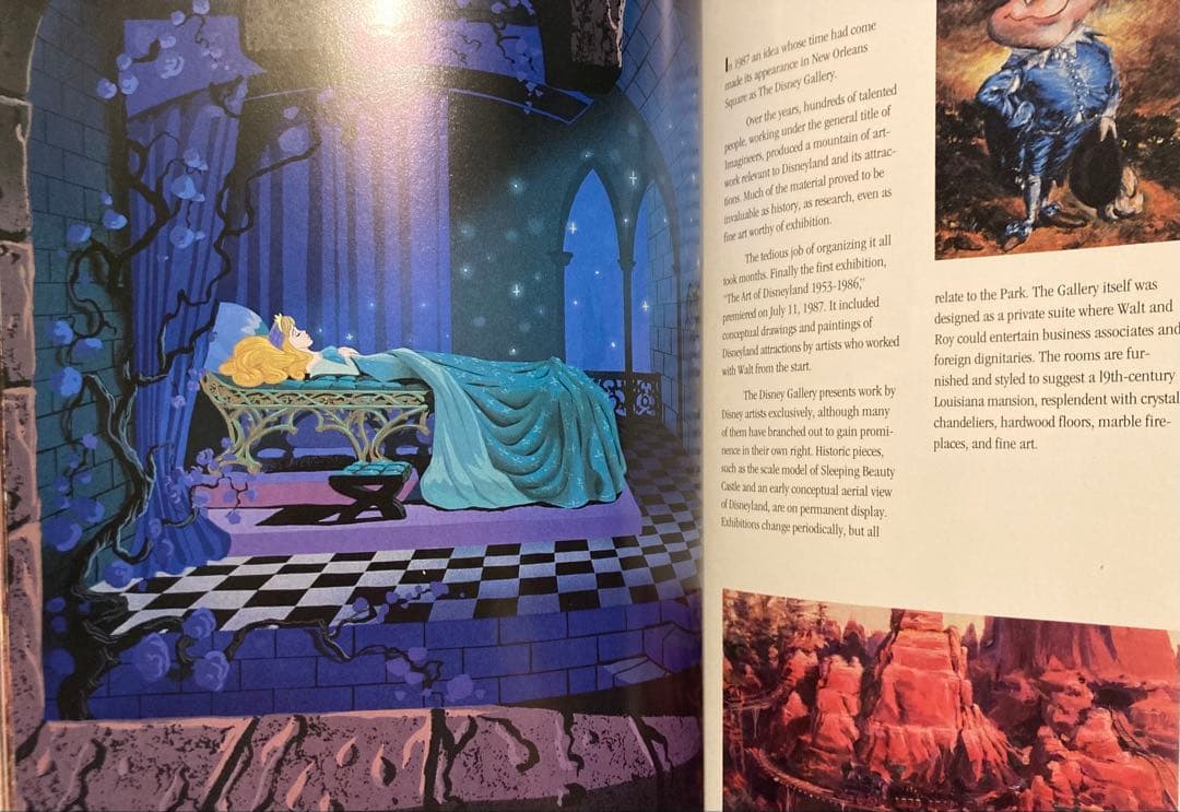 英国版ディズニーランド　ビジュアルブック