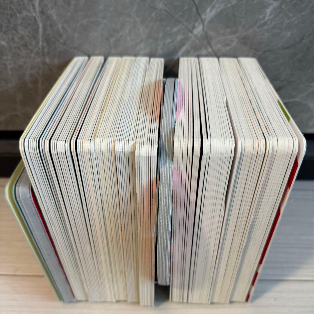 Sassy いっしょにあそぼ　知育絵本 あかちゃんえほん　　12冊セット