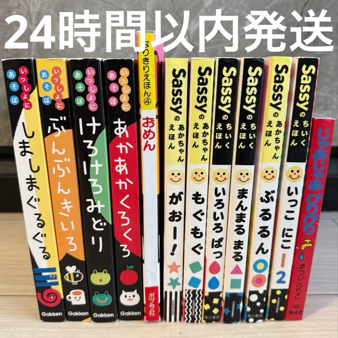 Sassy いっしょにあそぼ　知育絵本 あかちゃんえほん　　12冊セット