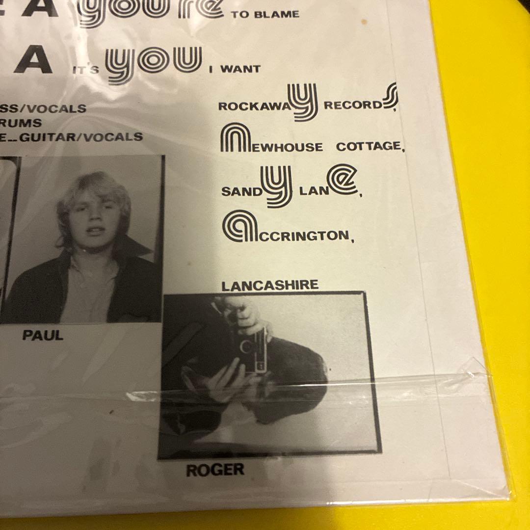 THE CYBERMEN パンク天国　powerpop名盤