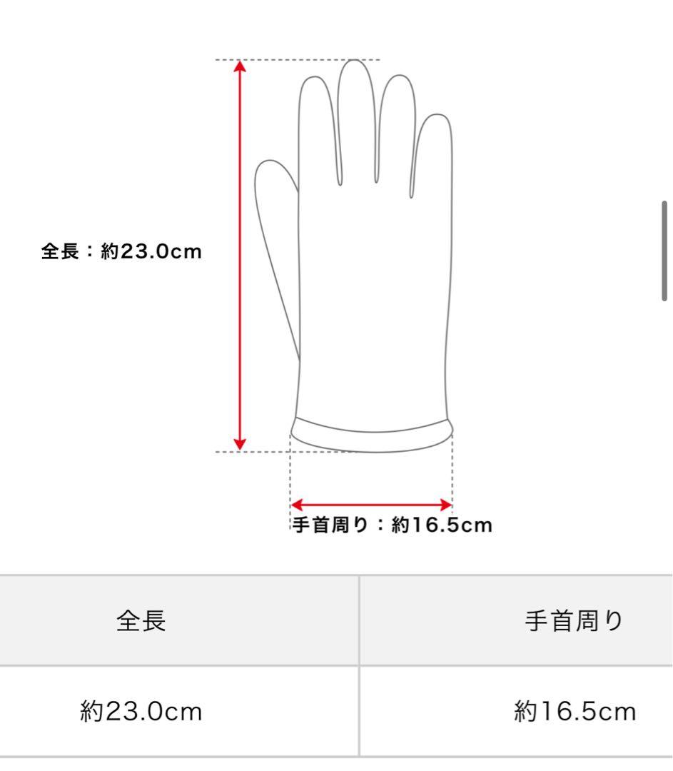 ボッテガ　レザー編み込みデザイン手袋 ブラック