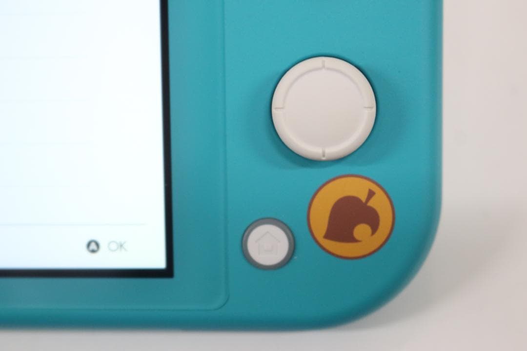 任天堂 Switch スイッチ ライト どうぶつの森 限定カラー 本体