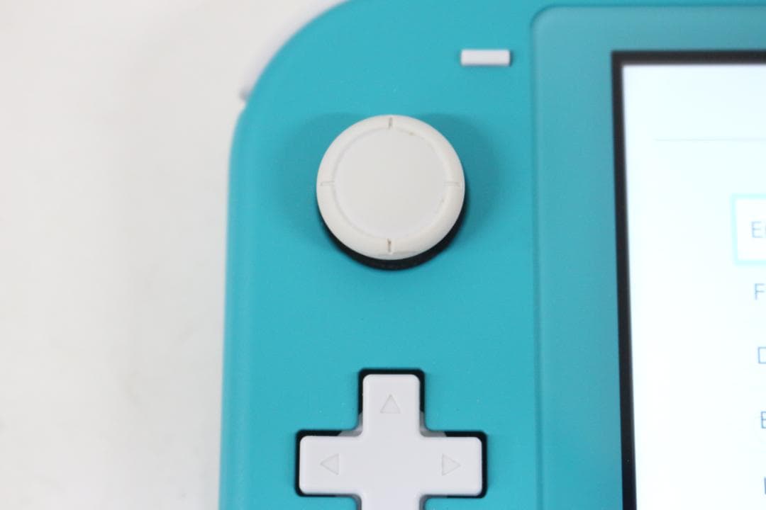 任天堂 Switch スイッチ ライト どうぶつの森 限定カラー 本体