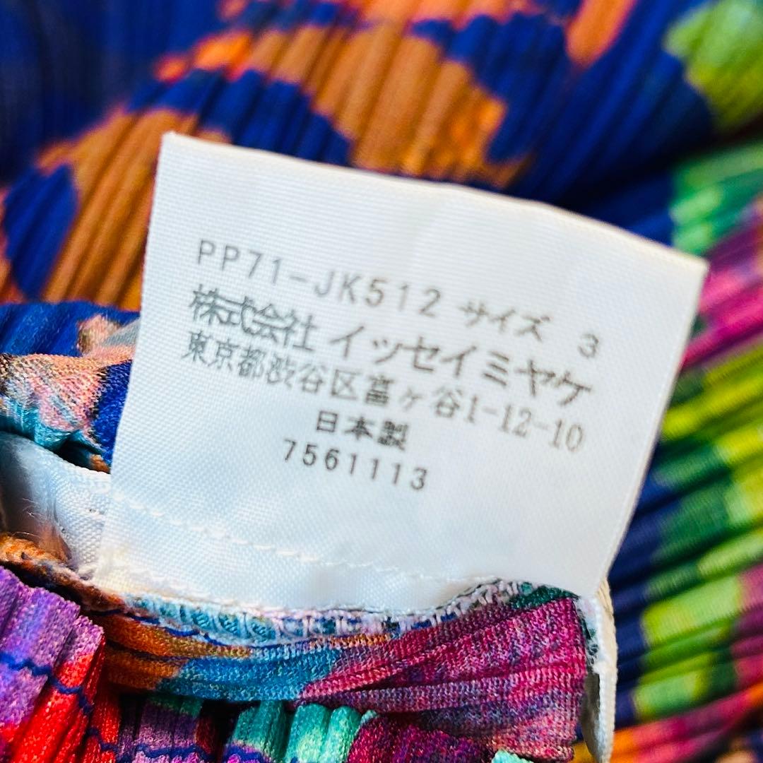 プリーツプリーズ グラフィックアート カットソー 長袖 イッセイミヤケ