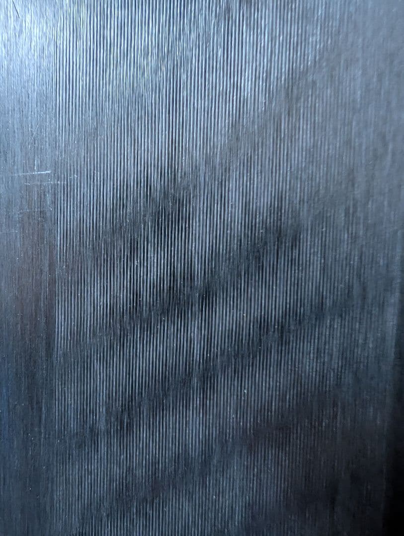 使用少 FISCHER フィッシャー ジュニアGS用158cm＋ Z11