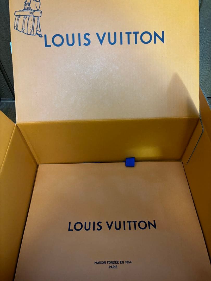 Louis Vuitton ビーニー・オンリー LVニット帽