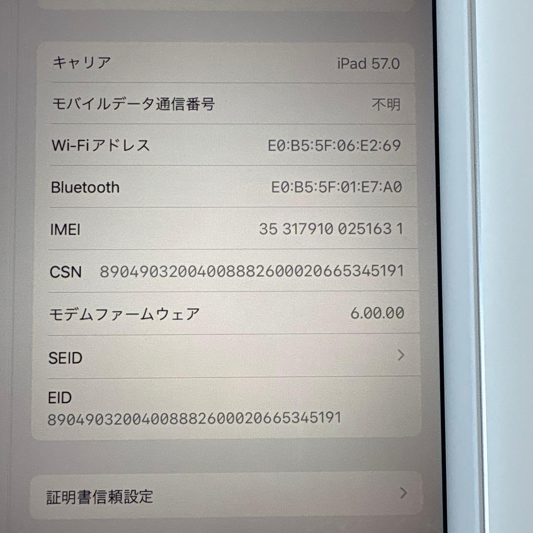 【美品】iPad mini5 セルラー 64GB SIMフリー