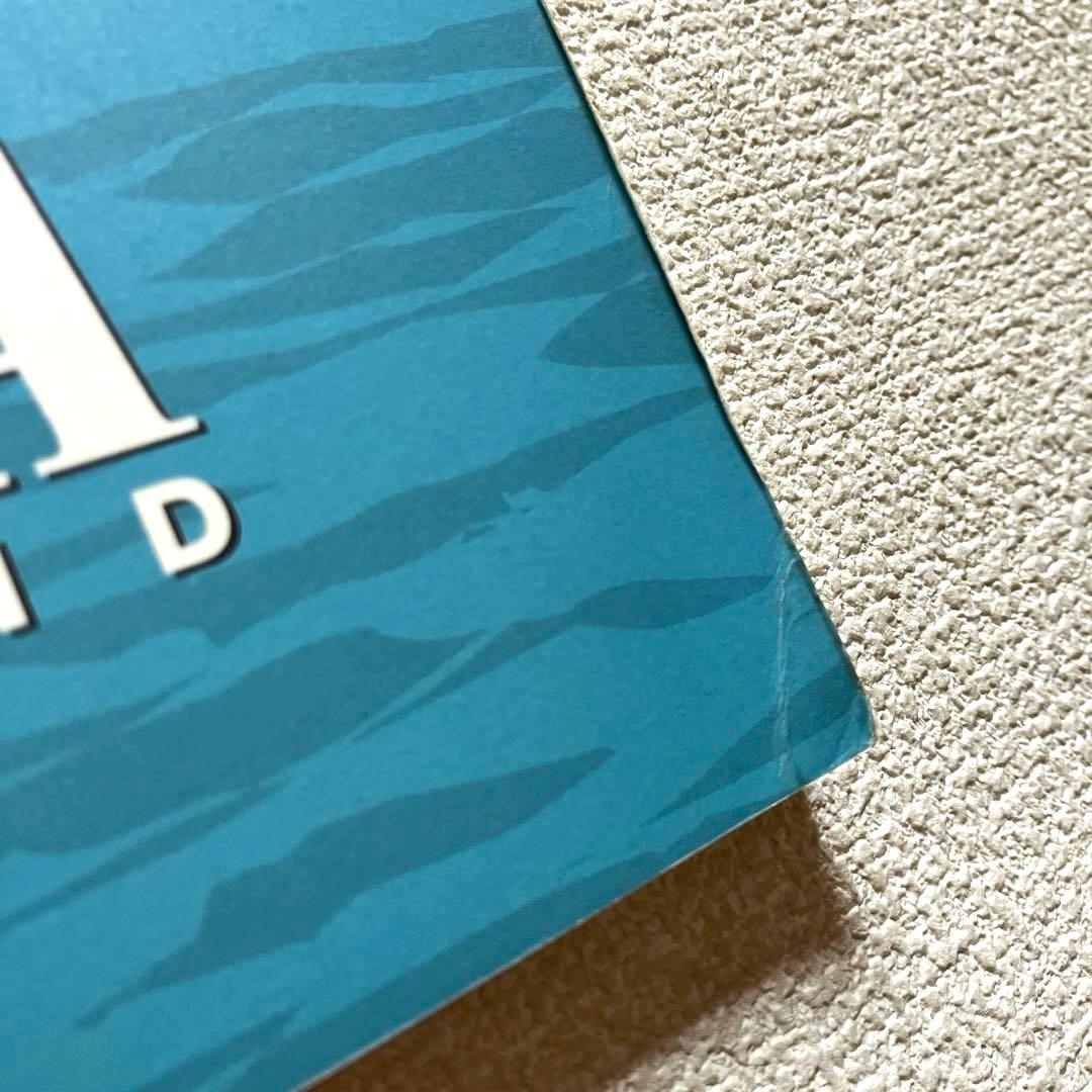 ニルヴァーナ　ネヴァーマインド　楽譜本　バンドスコア