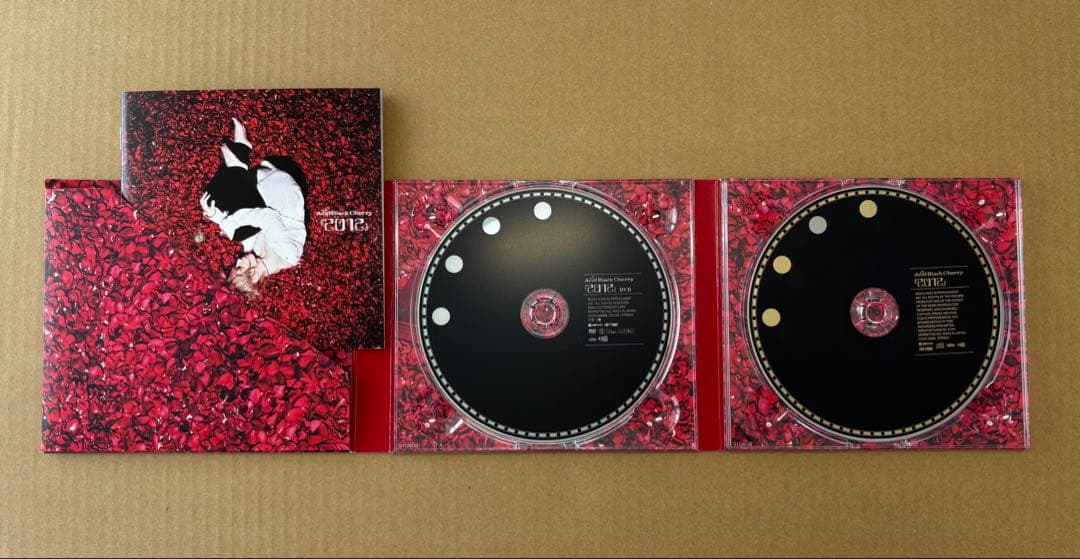 Acid Black Cherry 「2012」 アルバム2種＋特典 その他
