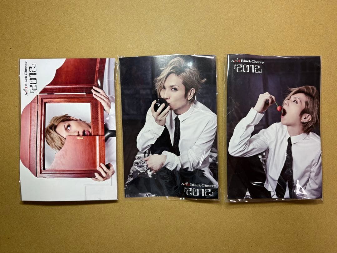 Acid Black Cherry 「2012」 アルバム2種＋特典 その他