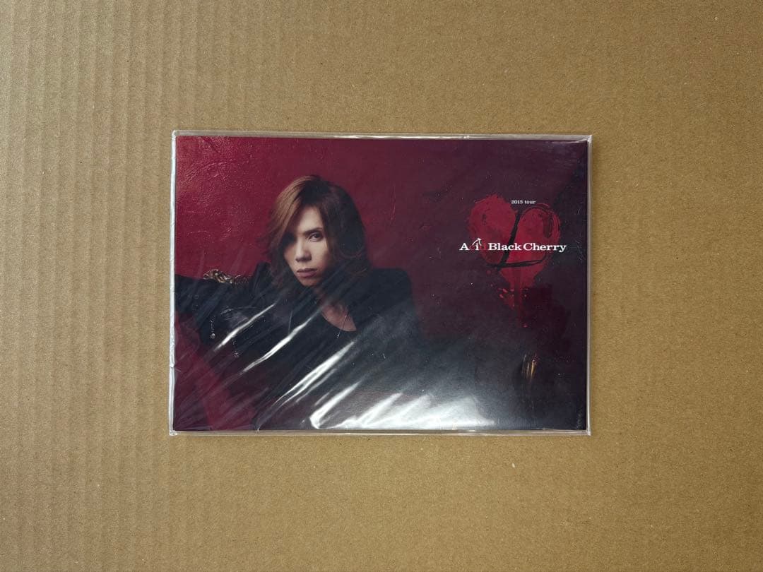 Acid Black Cherry 「2012」 アルバム2種＋特典 その他