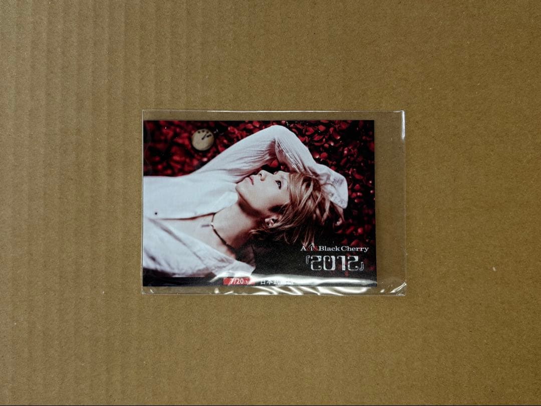 Acid Black Cherry 「2012」 アルバム2種＋特典 その他