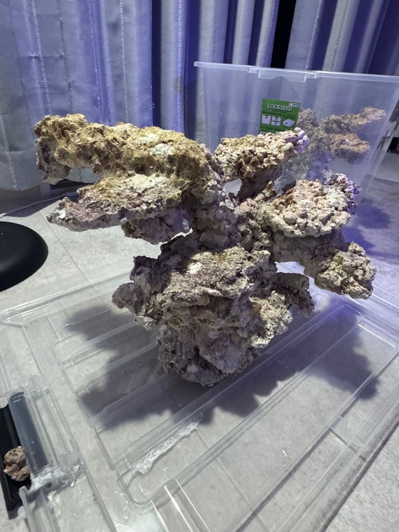 人工ライブロック 2点セット 90cm水槽 サンゴ 海水 アク抜き済み