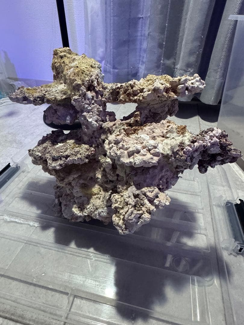 人工ライブロック 2点セット 90cm水槽 サンゴ 海水 アク抜き済み