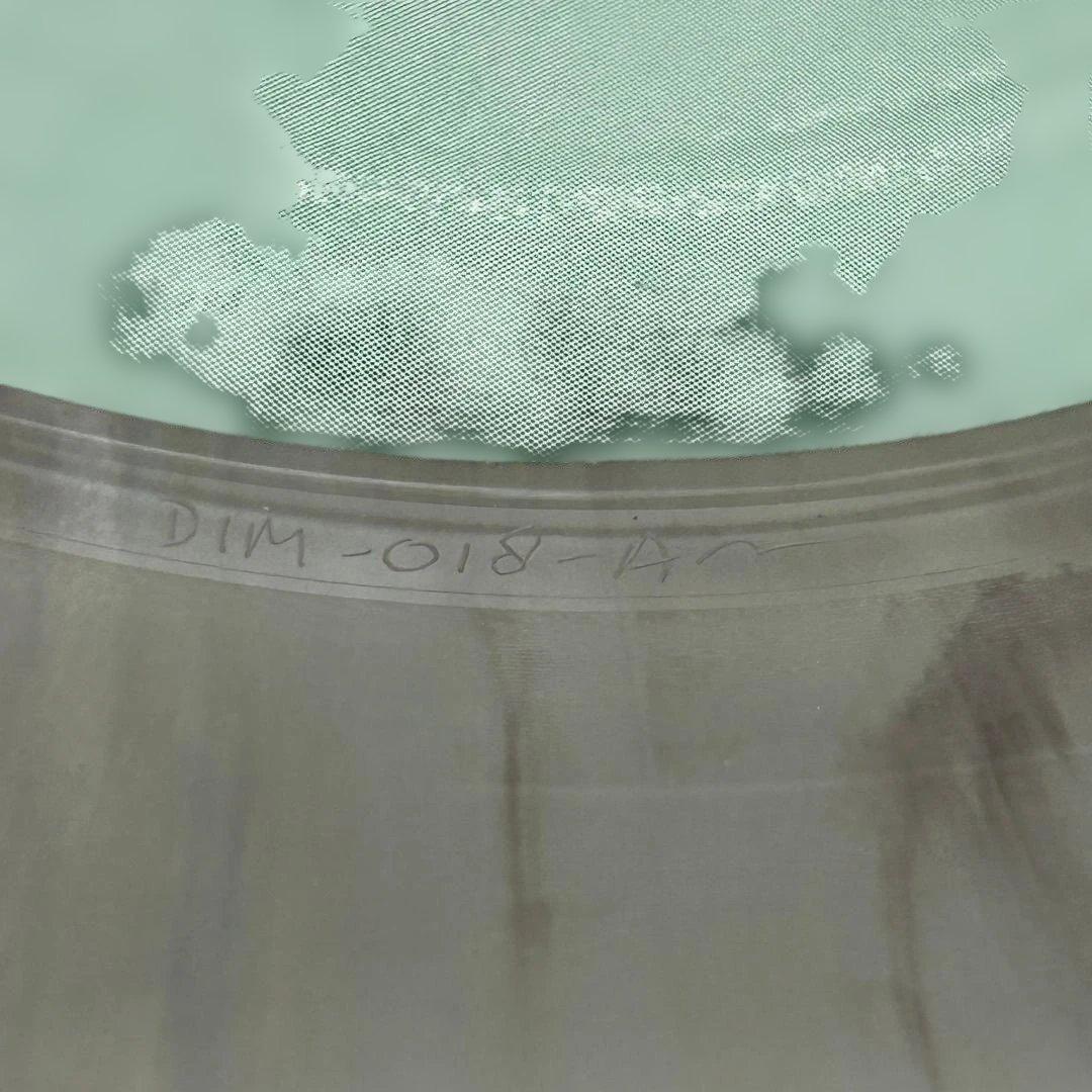 nine days wonder / scenery is~ / 貴重カラー盤