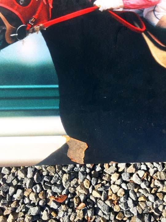 競馬 名馬 大きいパネル^o^