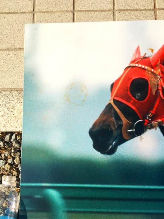 競馬 名馬 大きいパネル^o^