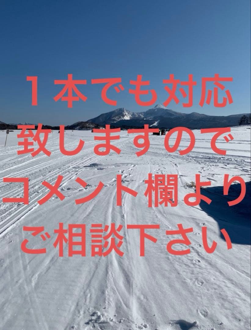 オススメ　ワカサギ　ステンレス穂先　全長約260ミリ　2本