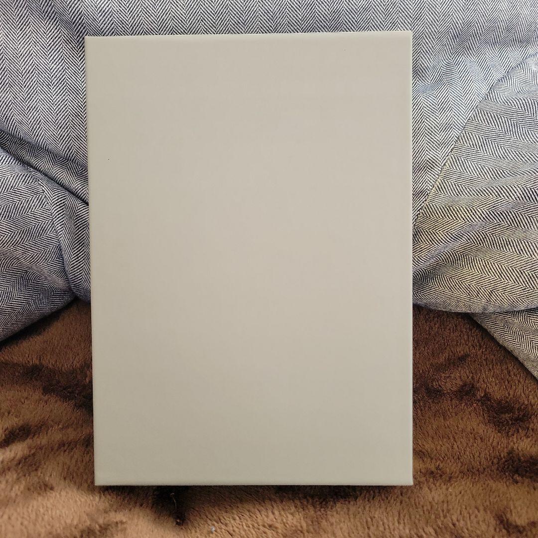 P-MODEL 平沢進 太陽系亞種音(新装版)会員特典CD付