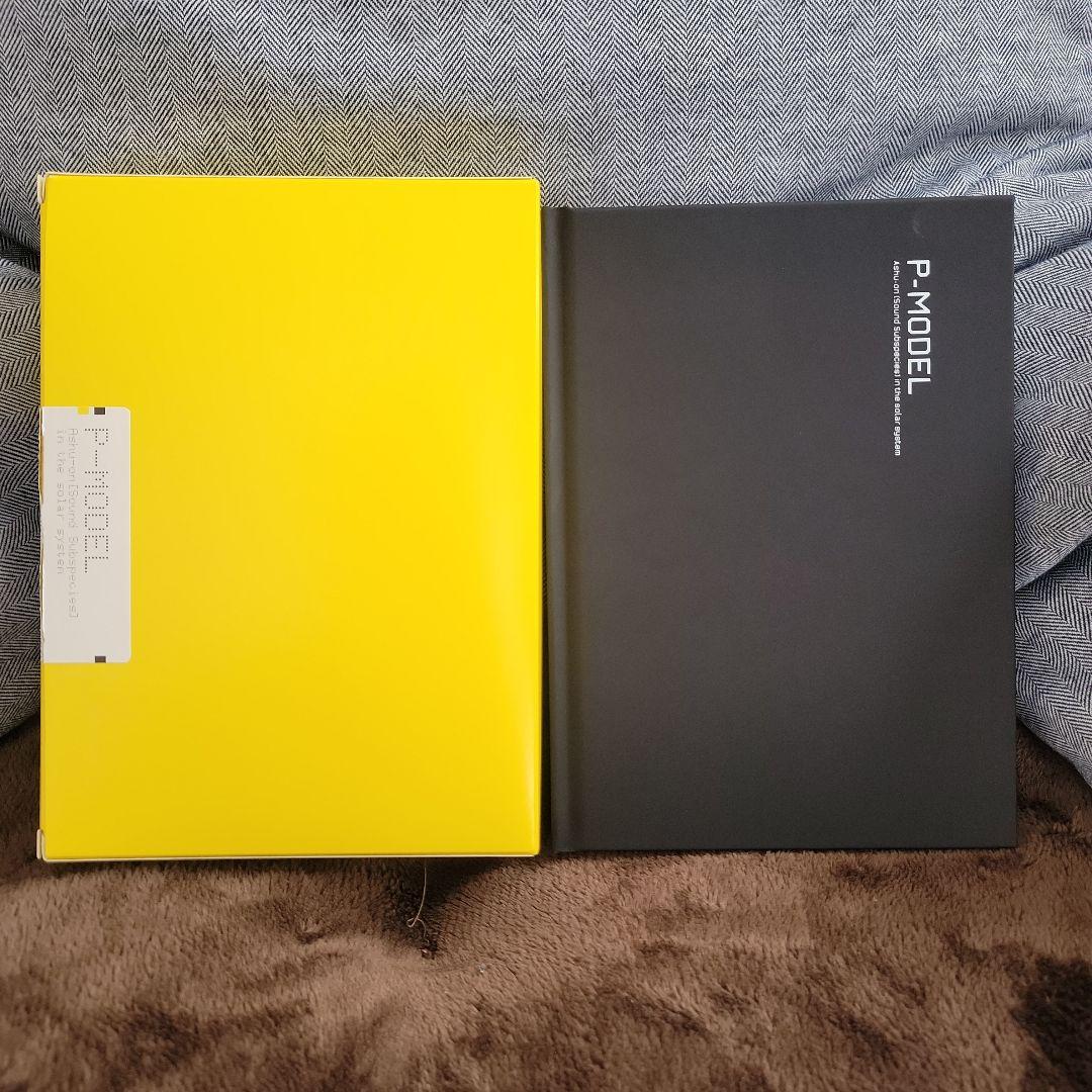 P-MODEL 平沢進 太陽系亞種音(新装版)会員特典CD付