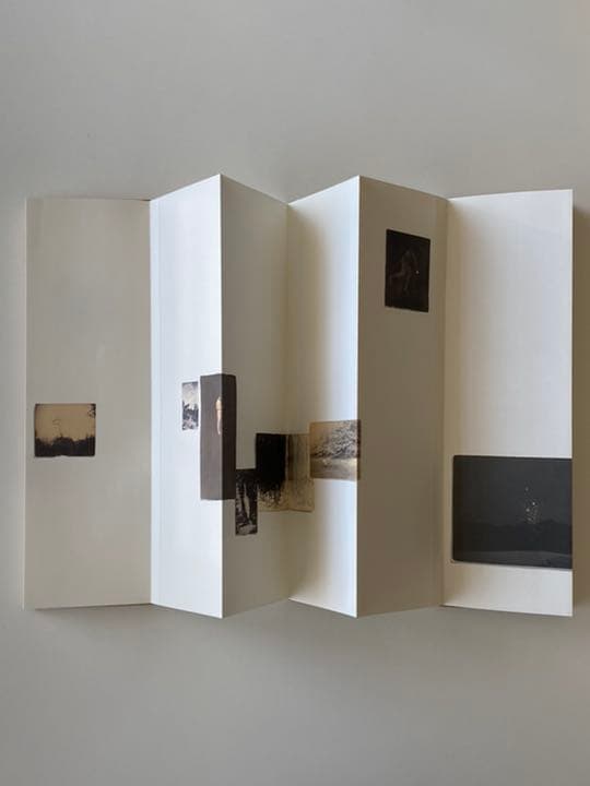 山本昌男　Masao Yamamoto 写真集　オオミズアオ　サイン入り