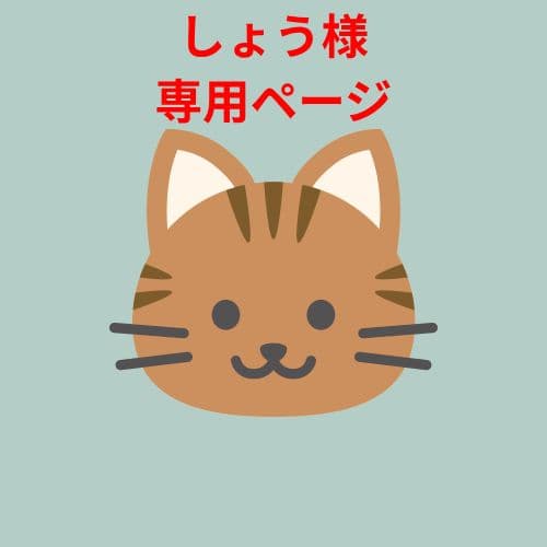 【匿名配送】エヴァンゲリオン 葛城ミサト 1/6 劇場ver 組立式 フィギュア