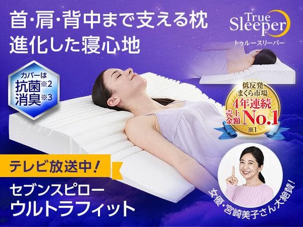 トゥルースリーパー　枕カバー　シルク　100％　19匁　シングル サイズ　日本製